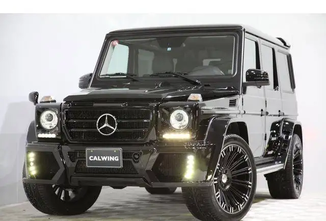 Обвес WALD SPORTS LINE BLACK BISON EDITION MERCEDES-BENZ G-CLASS W463, фотография 7