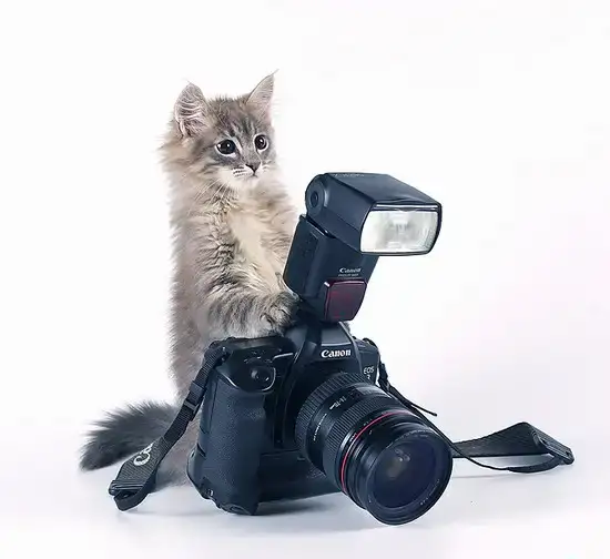 Детский фотограф, фотография 1