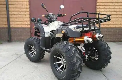 КВАДРОЦИКЛ YAMAHA GRIZZLY ATV 250CC, фотография 1