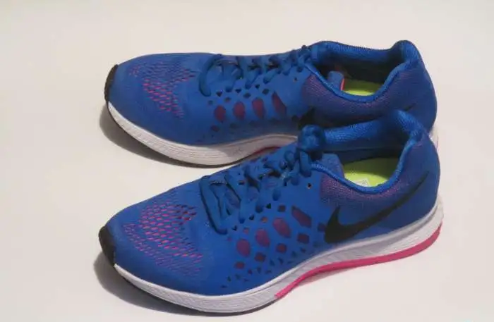 Отличные беговые кроссовки Nike Pegasus, фотография 1