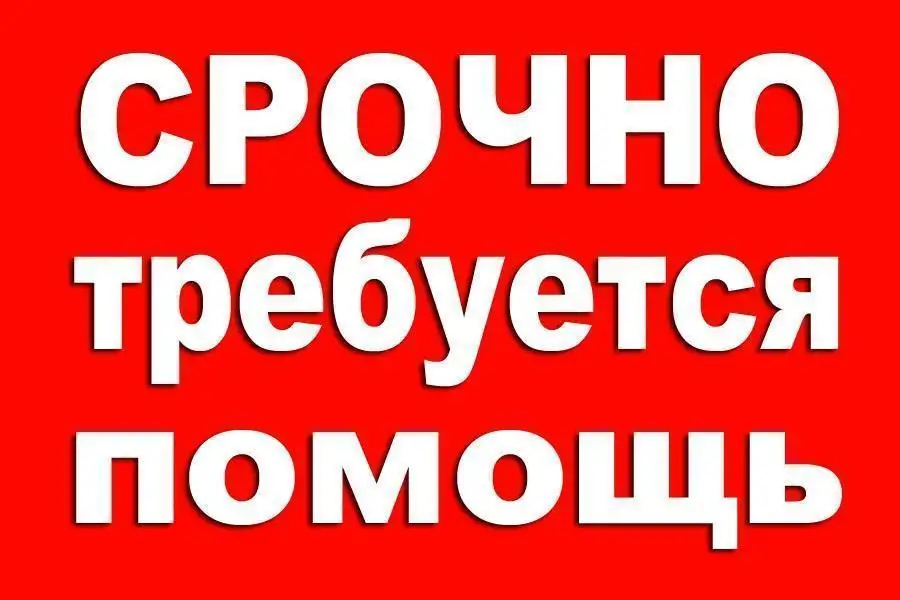 Помощь на сво рф детям в зоне военных действий, фотография 1