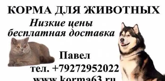 Корма и наполнители для собак и кошек, фотография 1