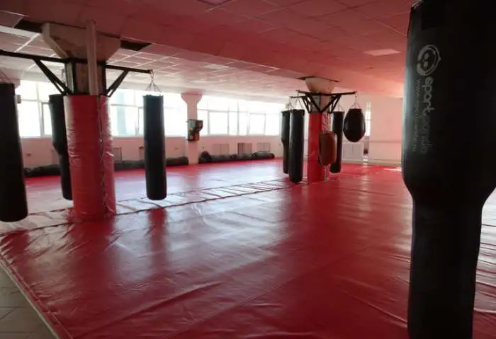 Борцовский ковер, стеновые протекторы, маты..., фотография 7
