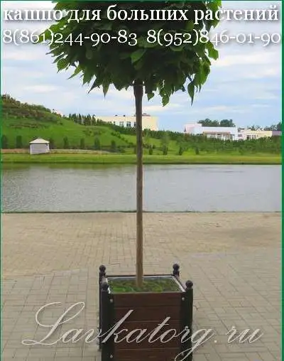 Уличные кашпо из дерева и металла КМл-6, фотография 2