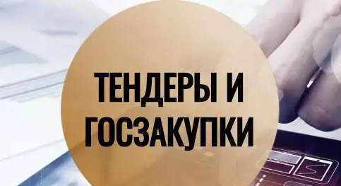 Комплексное сопровождение тендеров, фотография 1