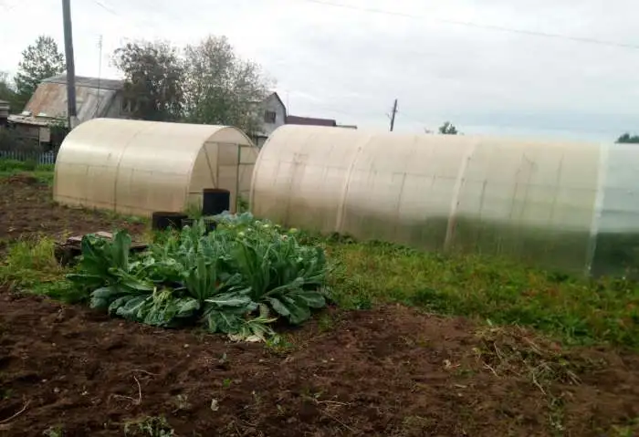 Продам садовый участок, фотография 4