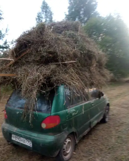 Водитель Daewoo Matiz, фотография 2