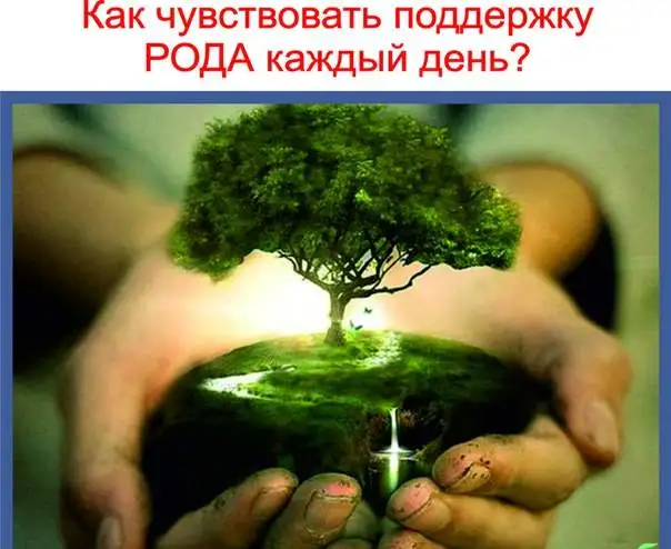 Бесплатный сочельник Рождественское благословение рода, фотография 1