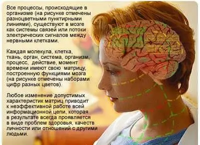 Лечебно-диагностическая система восстановительной IT-медициныЭксклюзив, фотография 1