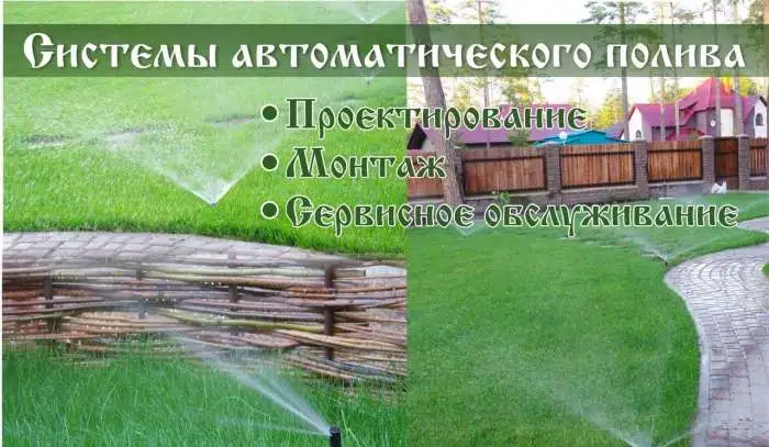 Ландшафтный дизайн от проекта до реализации, фотография 4