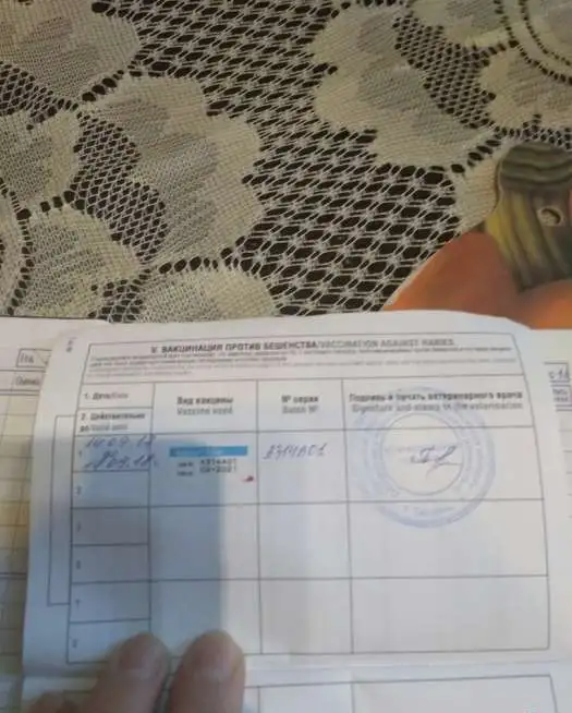 Продам собаку, фотография 1