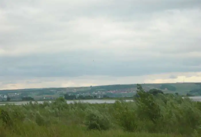 Отдам заросшую дачу даром, фотография 1