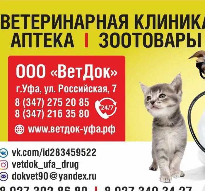 Ветеринарная клиника 