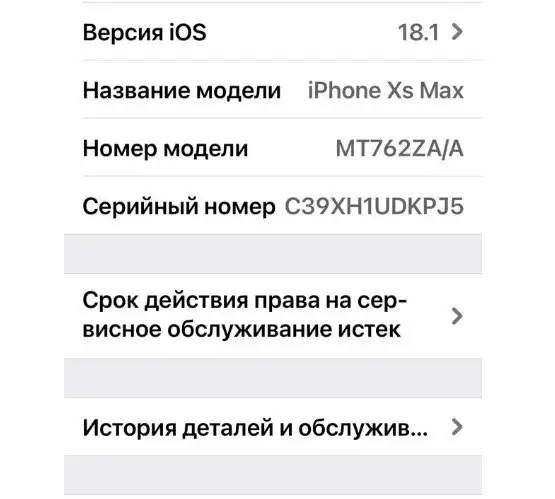 iPhone Xs, 256 ГБ, фотография 2
