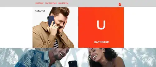 Купить интернет-магазина на заказ (сайт-каталог), фотография 4