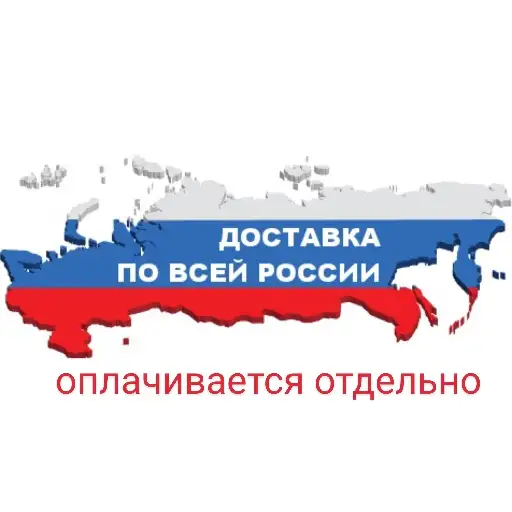 Медведь стиль цветной принт 66 размера, фотография 7