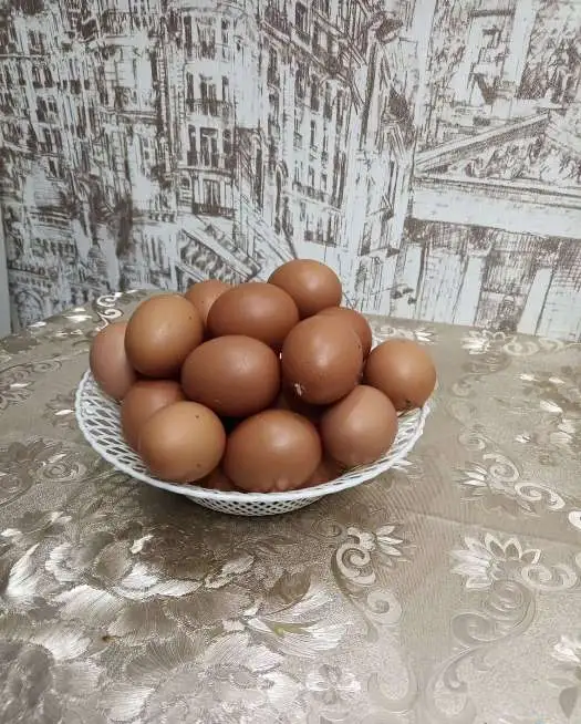 Продам яйцо куриное, яйцо домашнее, яйцо пищевое, фотография 1
