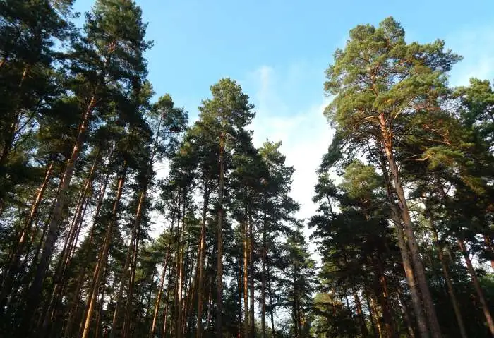 Приглашаем отдохнуть. , фотография 10