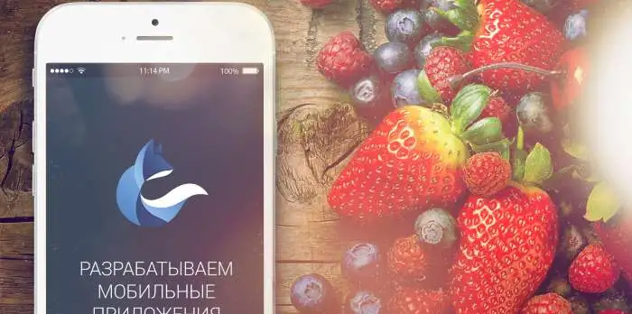  Создание сайтов и мобильных приложений, фотография 8