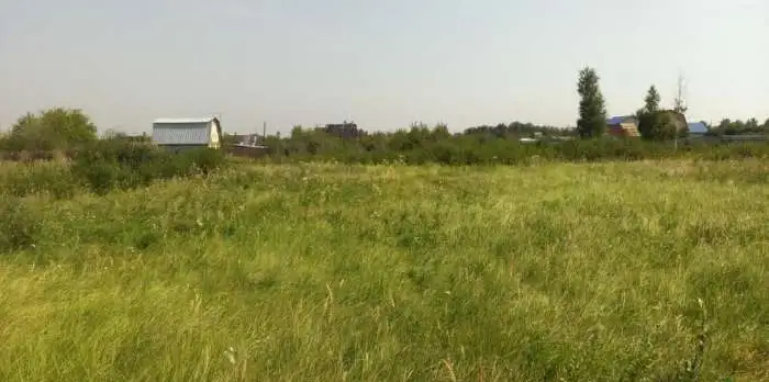 продам участок на берегу озера, поселек Старокамышинск, фотография 2