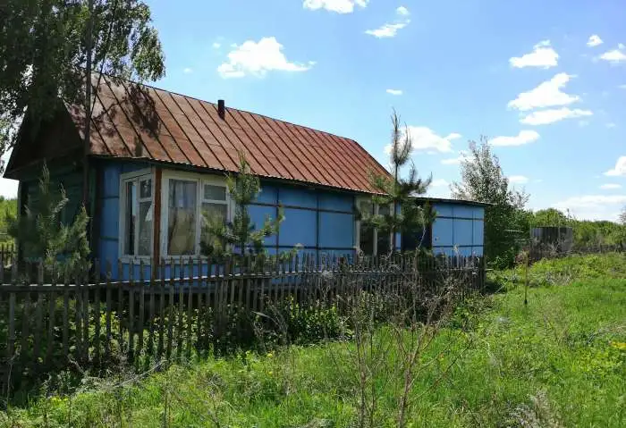 Продам дом 35,7 в с. Кануевка Безенчукского р-на, фотография 2