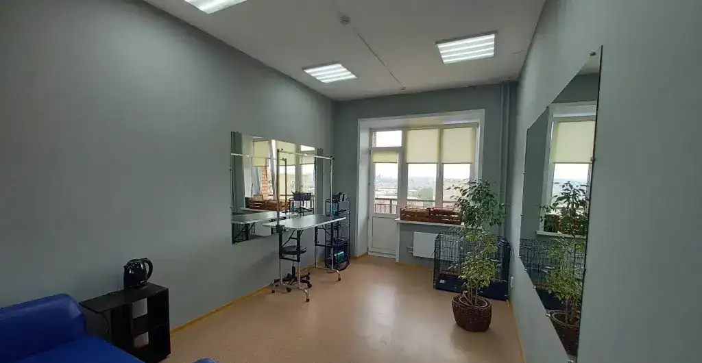 Стрижка, груминг собак, экспресс линька собак и кошек, фотография 4