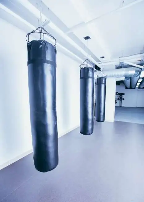Боксерский мешок Power Hit Sport от производителя оптом, фотография 2