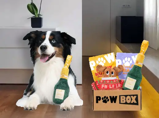 Сюрприз для вашего пса  PawBox, фотография 2