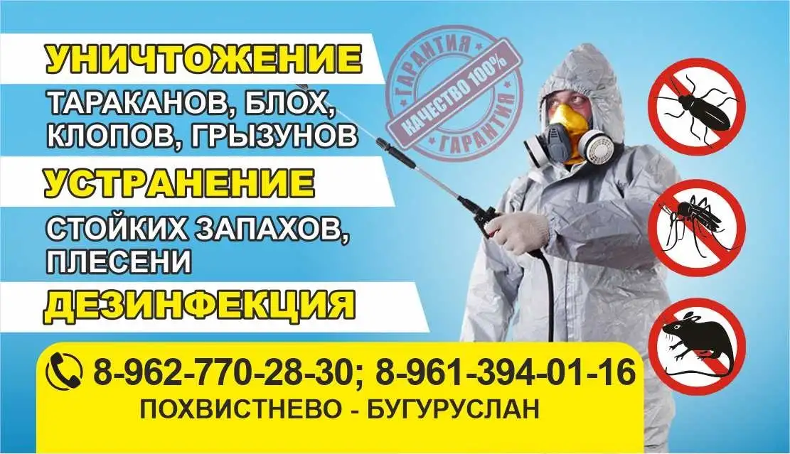 Дезинфекция Дезинсекция Похвистнево, Бугуруслан, Суходол, фотография 1