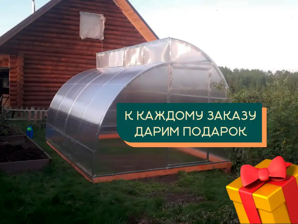 Теплица, фотография 3