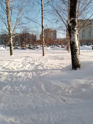 ищу работу, фотография 1