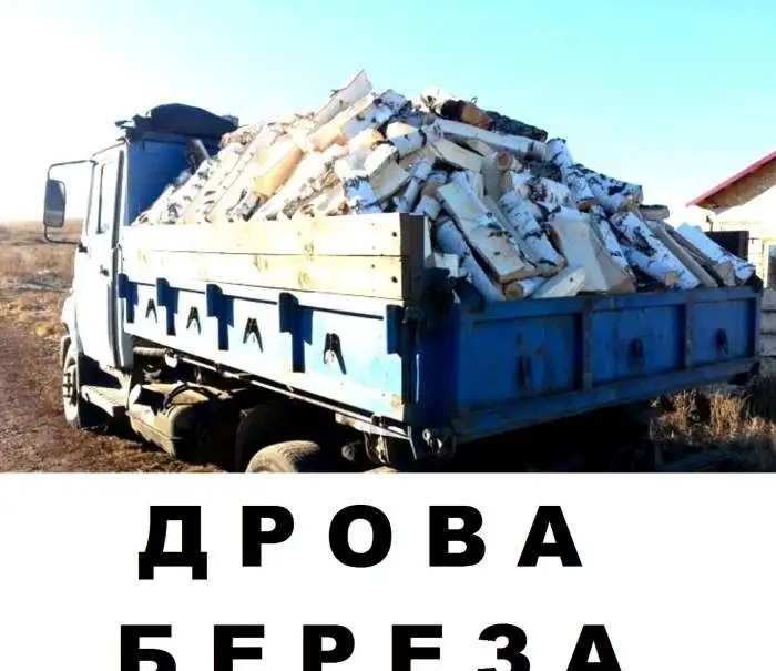 Доставка дров ежедневно, фотография 1