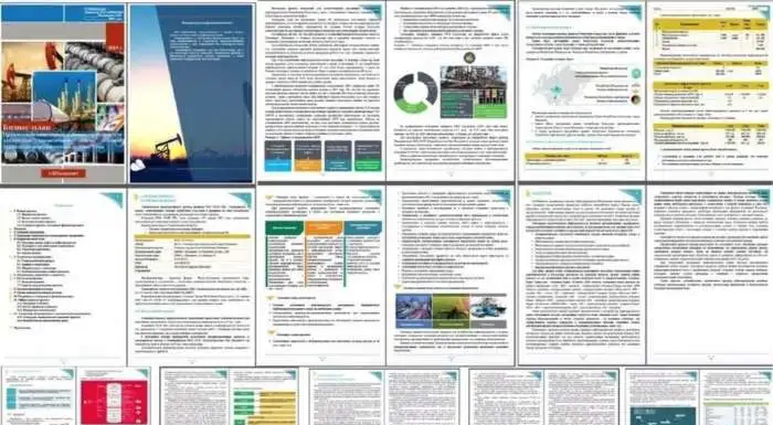 Разработка бизнес-плана с финансовой моделью, фотография 2