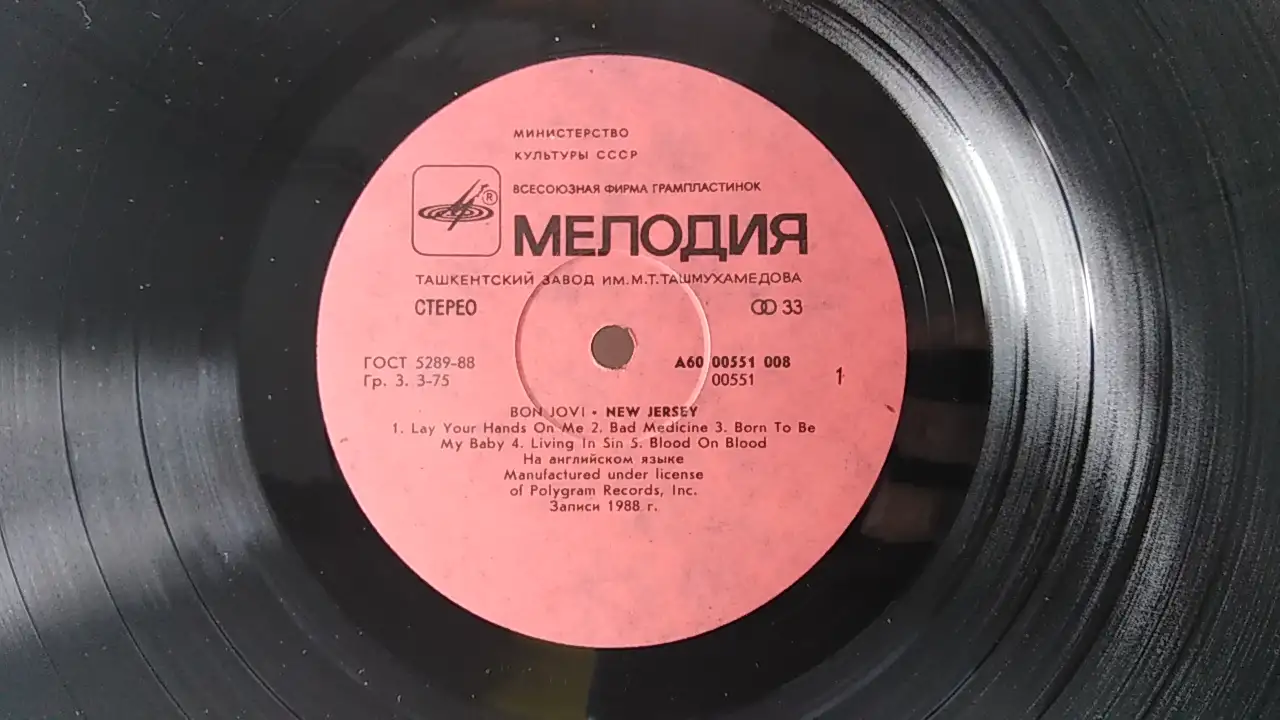 Bon Jovi - New JerseyGram Vinyl, фотография 4