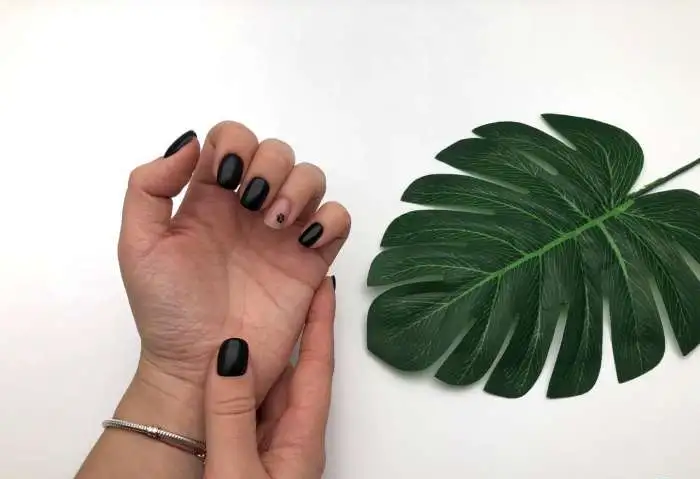 Набор элементов для композиций \ фото маникюра Flat lay, фотография 6
