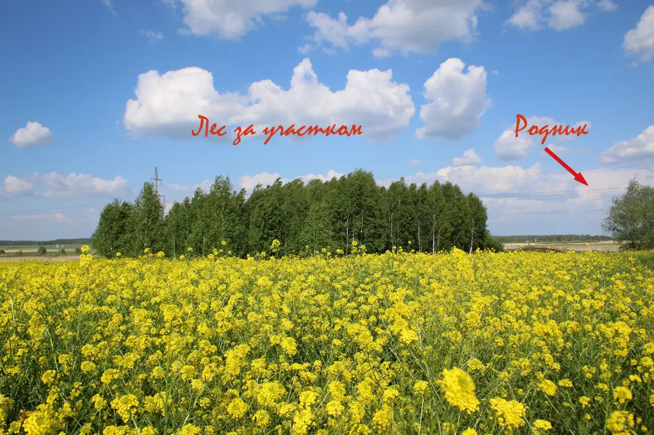 Участок 15 соток  в курортном месте, фотография 3