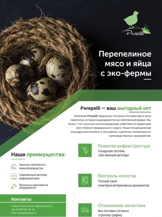 Разработка коммерческих предложений, фотография 11