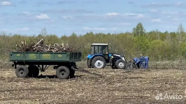 Расчистка заросших полей от деревьев от 1 Га, фотография 8