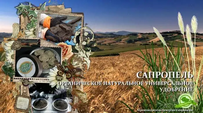 Натуральное органическое удобрение из сапропеля ГОСТ Р, фотография 2