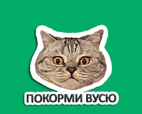 Стикеры персональные по фото для WhatsApp / ватсап / подарок, фотография 1