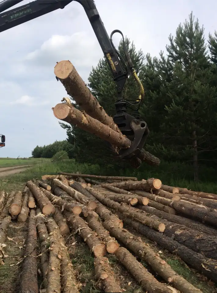 Поиск инвестора для заготовки древесины, фотография 3