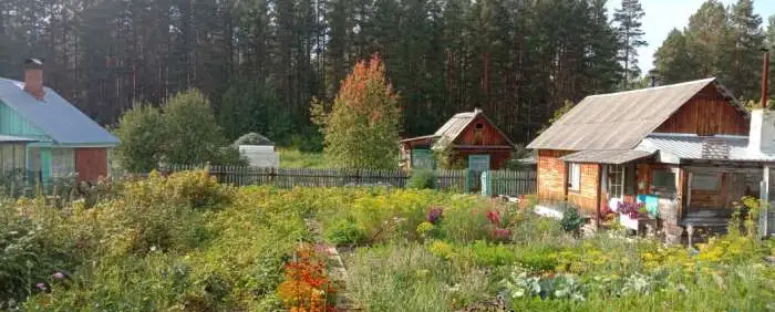 Продам дачный участок, 6 соток, фотография 6