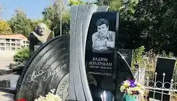Вадим Мулерман «Голос сердца», фотография 7