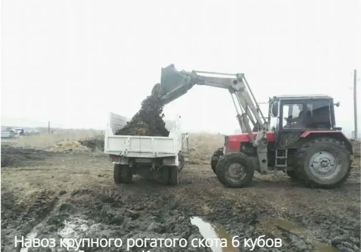 Навоз крупного рогатого скота 6 кубов, фотография 1
