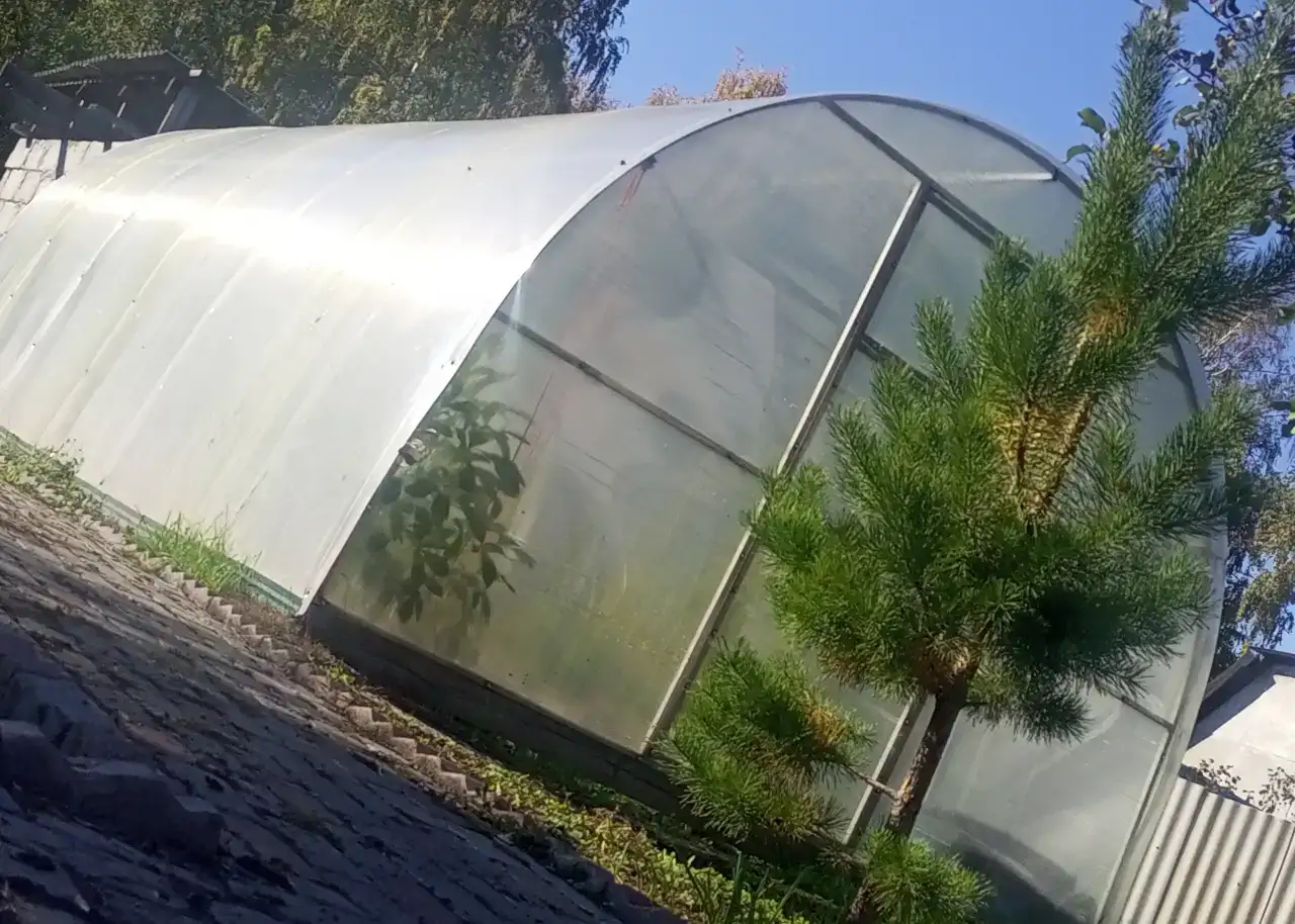 Теплицы, фотография 2