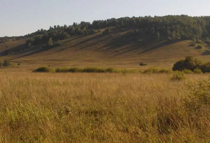 Земля 100 км. от г. Уфы в районе п. Павловка 1176 га, фотография 10