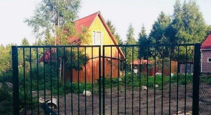 Ворота металлические и калитки, фотография 1