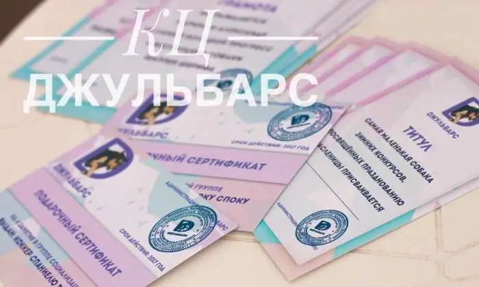 Дрессировка собак, фотография 1