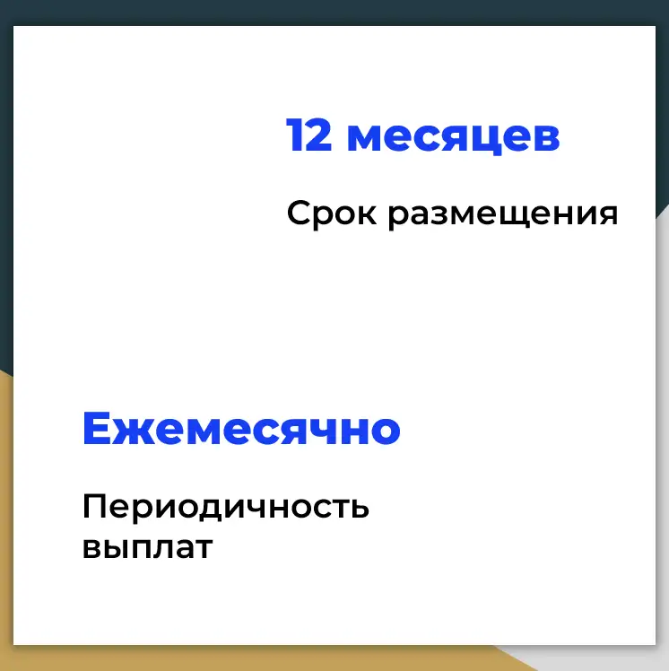 Инвестиции с доходностью 40 годовых. Товарный бизнес на маркетплейсах, фотография 3