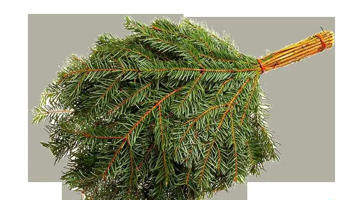 Веники для бани и сауны, фотография 2